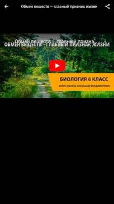 Видеоуроки 6 класс android App screenshot 1